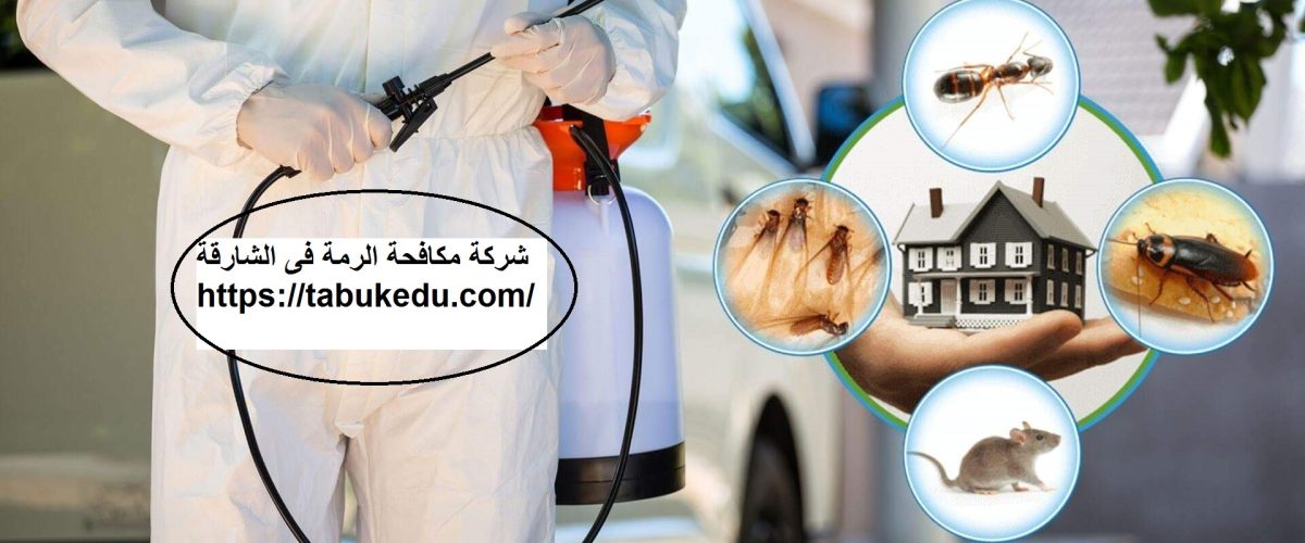 شركة مكافحة الرمة فى الشارقة