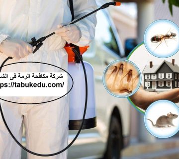 شركة مكافحة الرمة فى الشارقة