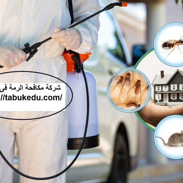 شركة مكافحة الرمة فى الشارقة