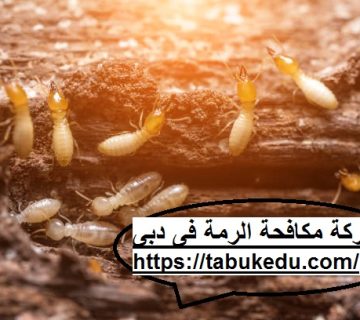 شركة مكافحة الرمة فى دبى