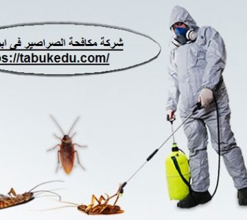 شركة مكافحة الصراصير فى ابوظبى