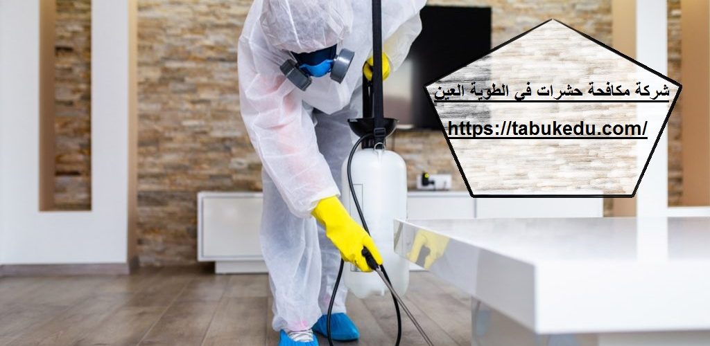 شركة مكافحة حشرات فى الطوية العين