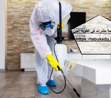 شركة مكافحة حشرات فى الطوية العين