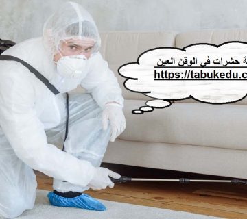 شركة مكافحة حشرات فى الوقن العين