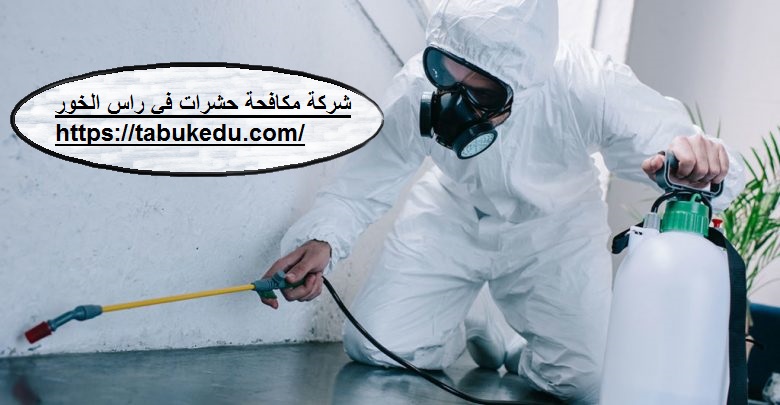 شركة مكافحة حشرات فى راس الخور