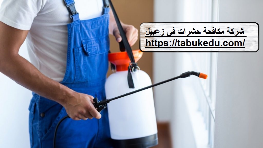 شركة مكافحة حشرات فى زعبيل
