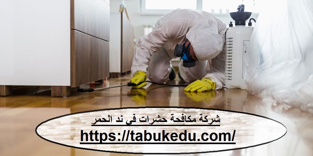 شركة مكافحة حشرات فى ند الحمر