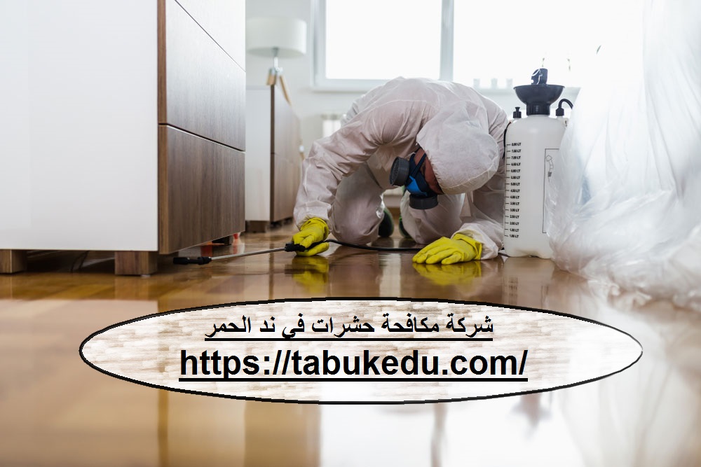 شركة مكافحة حشرات فى ند الحمر