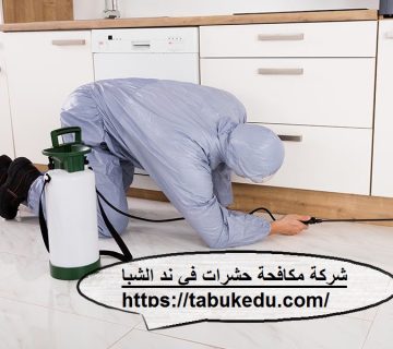 شركة مكافحة حشرات فى ند الشبا