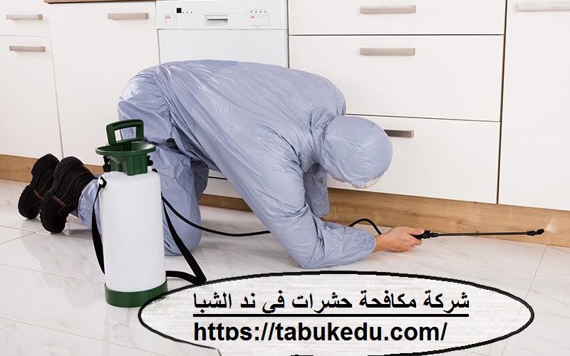 شركة مكافحة حشرات فى ند الشبا