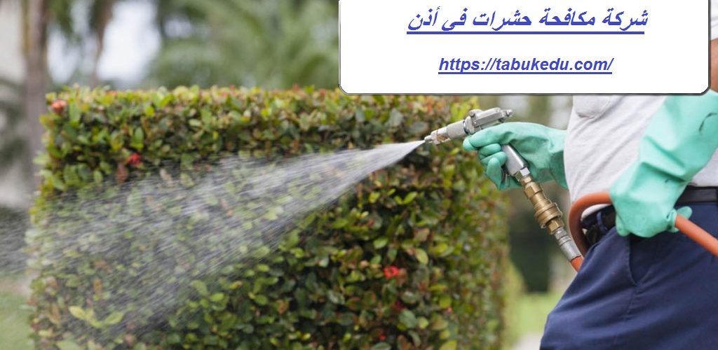 شركة مكافحة حشرات في أذن