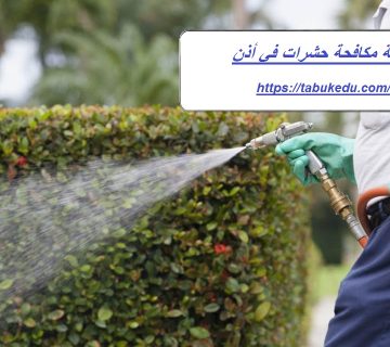 شركة مكافحة حشرات في أذن