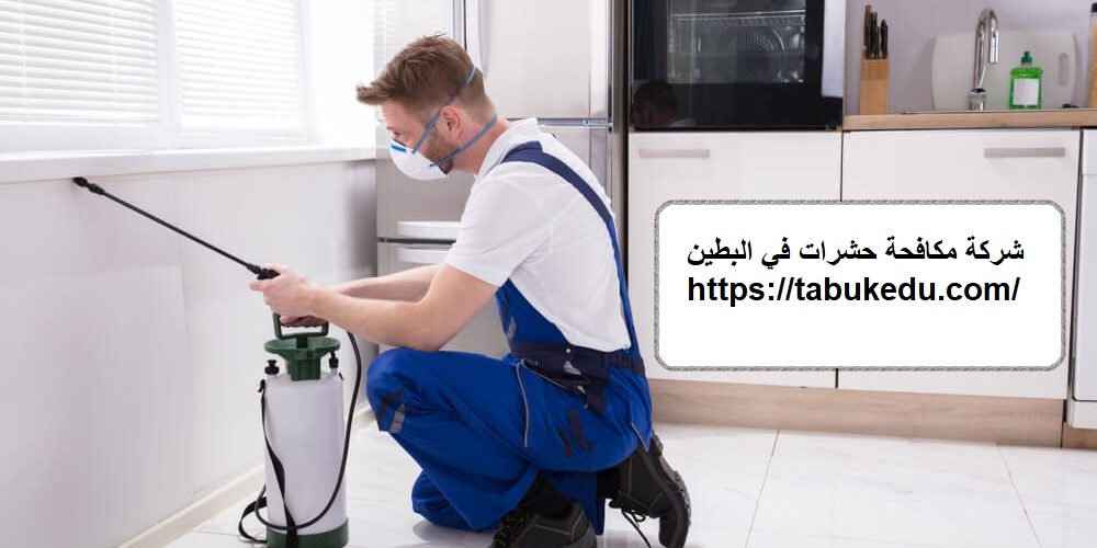 شركة مكافحة حشرات في البطين