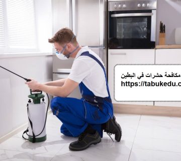 شركة مكافحة حشرات في البطين