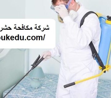 شركة مكافحة حشرات في الجميرا