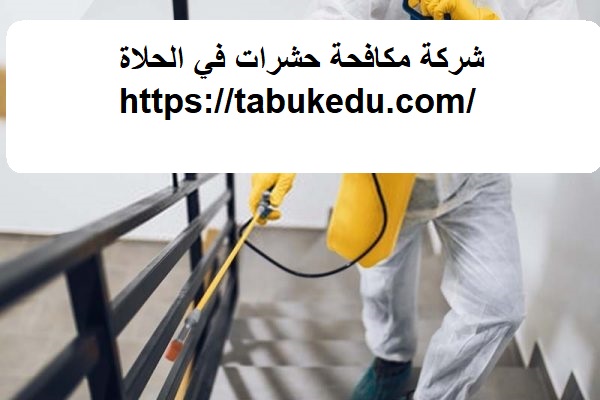 شركة مكافحة حشرات في الحلاة