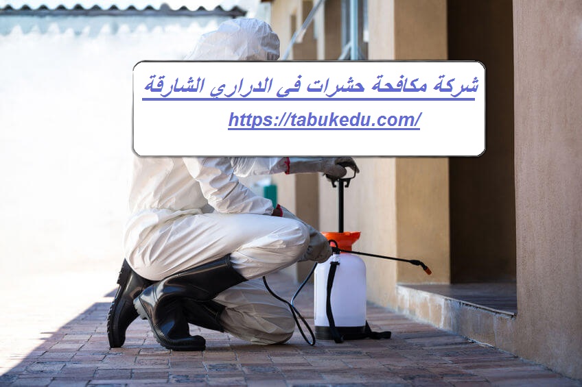 شركة مكافحة حشرات في الدراري الشارقة