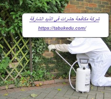 شركة مكافحة حشرات في الذيد الشارقة
