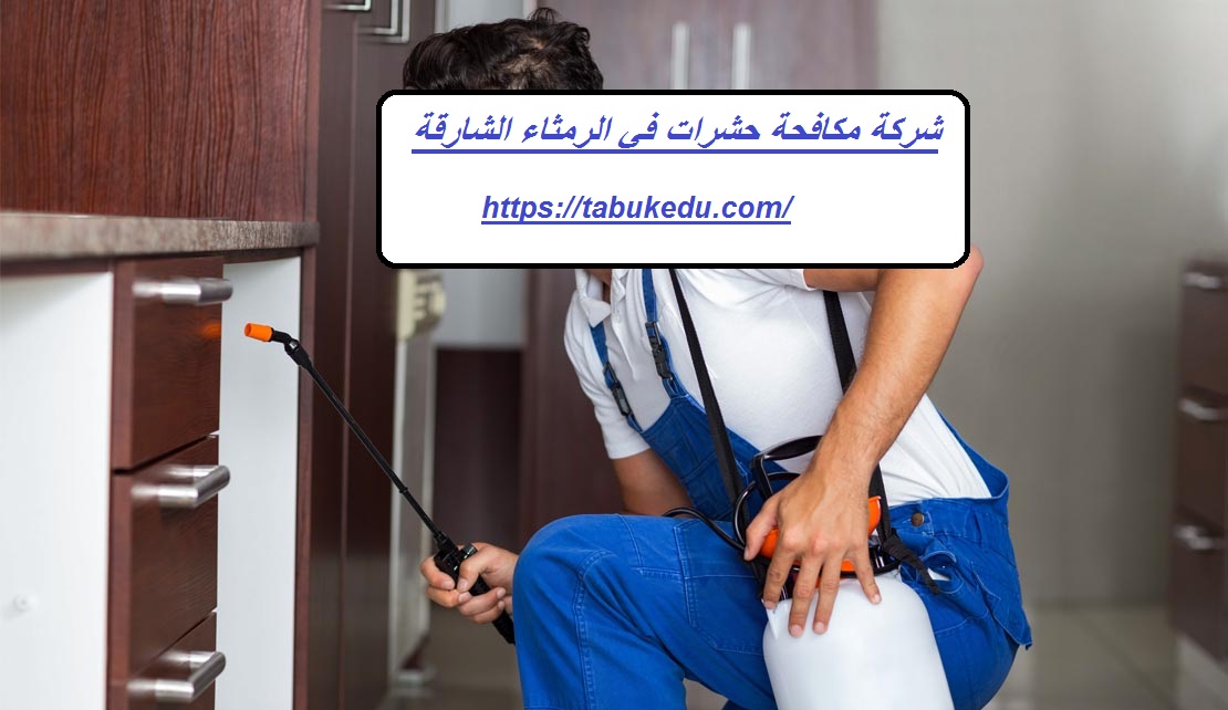 شركة مكافحة حشرات في الرمثاء الشارقة