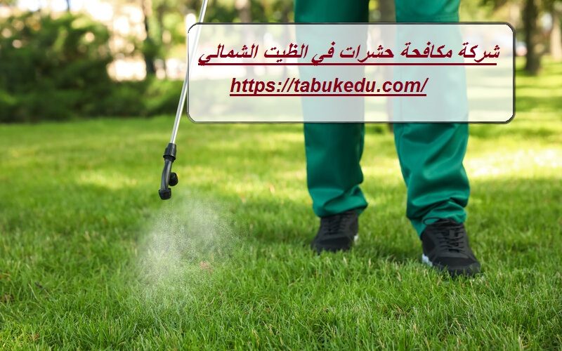 شركة مكافحة حشرات في الظيت الشمالى