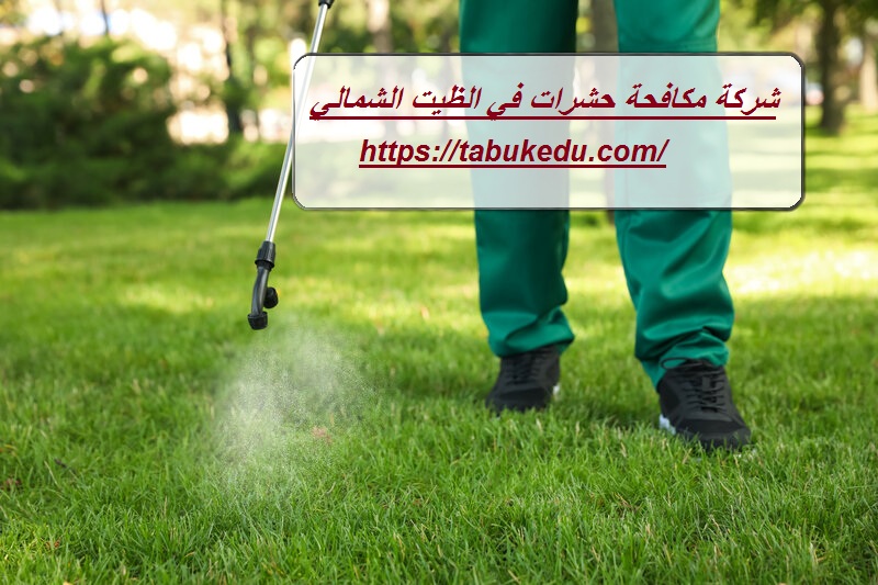 شركة مكافحة حشرات في الظيت الشمالى