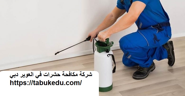 شركة مكافحة حشرات في العوير دبي
