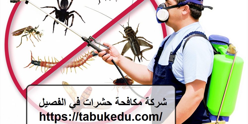 شركة مكافحة حشرات في الفصيل