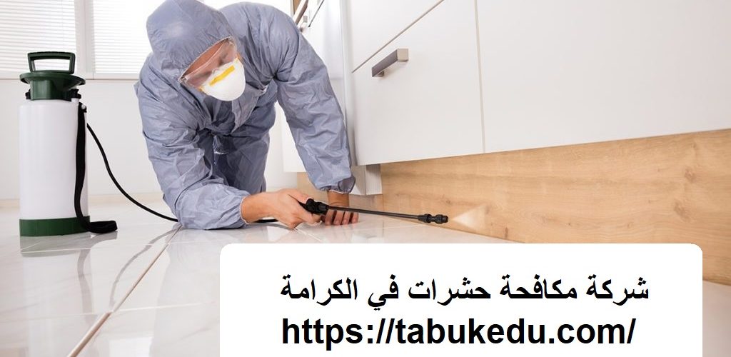 شركة مكافحة حشرات في الكرامة