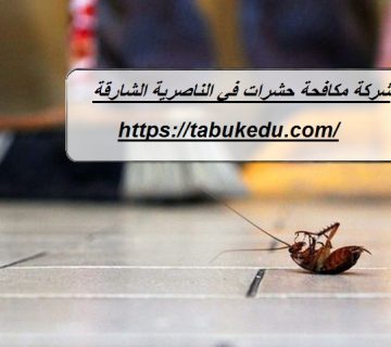 شركة مكافحة حشرات في الناصرية الشارقة