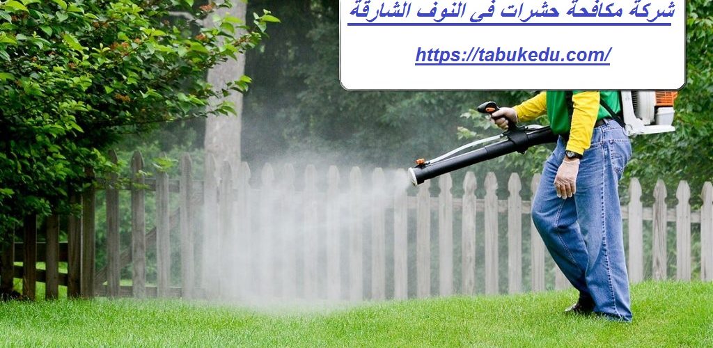شركة مكافحة حشرات في النوف الشارقة