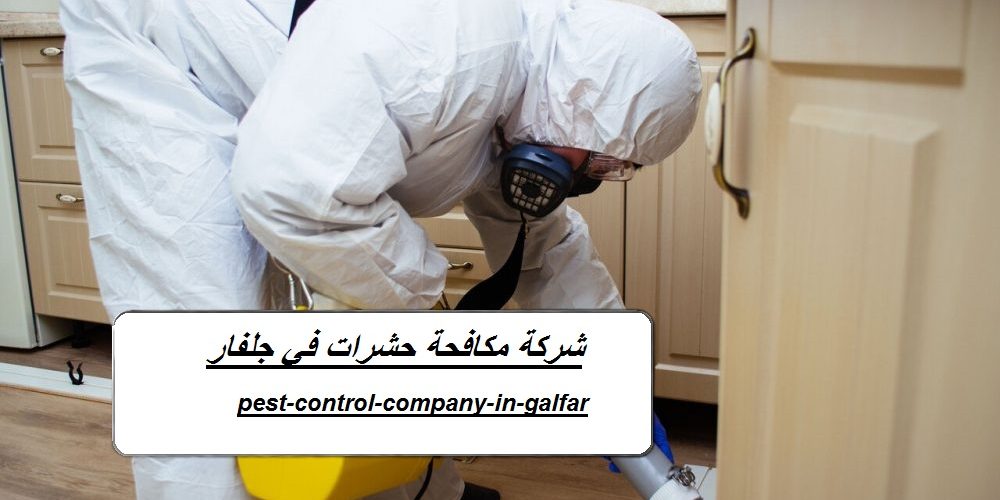 شركة مكافحة حشرات في جلفار