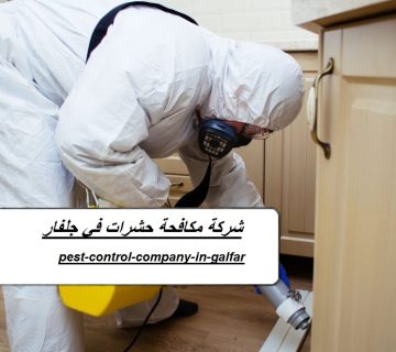 شركة مكافحة حشرات في جلفار