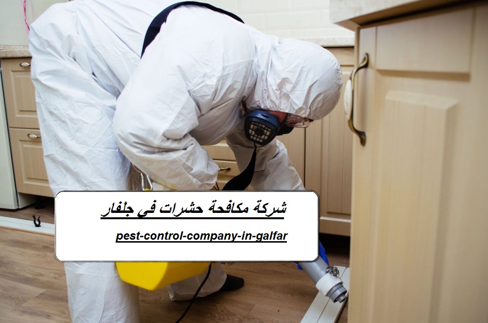 شركة مكافحة حشرات في جلفار
