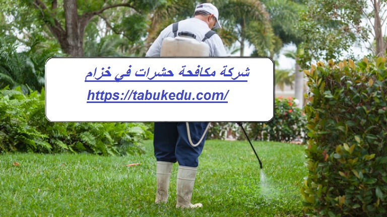 شركة مكافحة حشرات في خزام