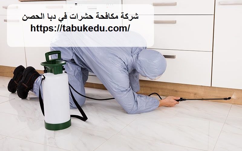 شركة مكافحة حشرات في دبا الحصن