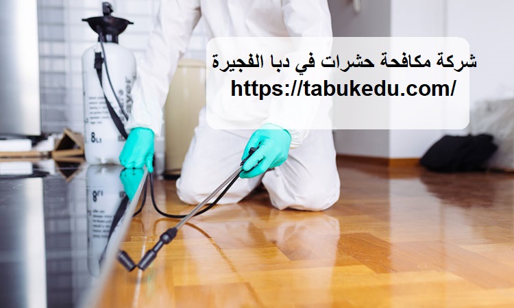 شركة مكافحة حشرات في دبا الفجيرة