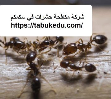 شركة مكافحة حشرات في سكمكم