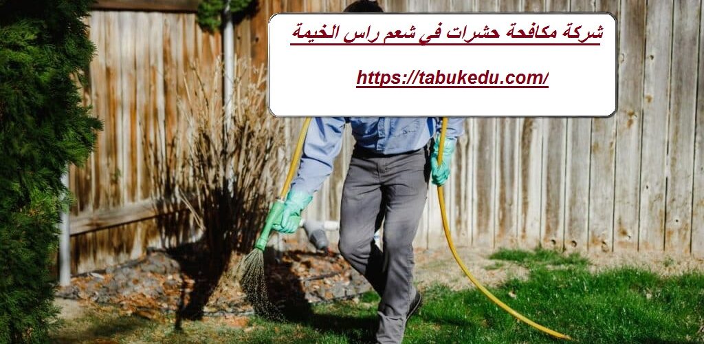 شركة مكافحة حشرات في شعم راس الخيمة