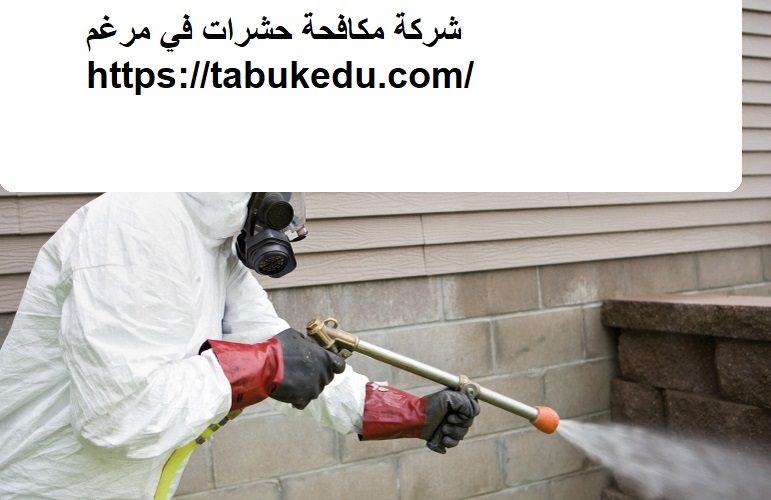 شركة مكافحة حشرات في مرغم