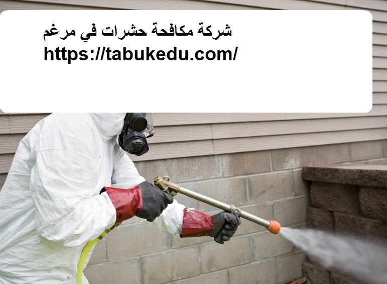 شركة مكافحة حشرات في مرغم