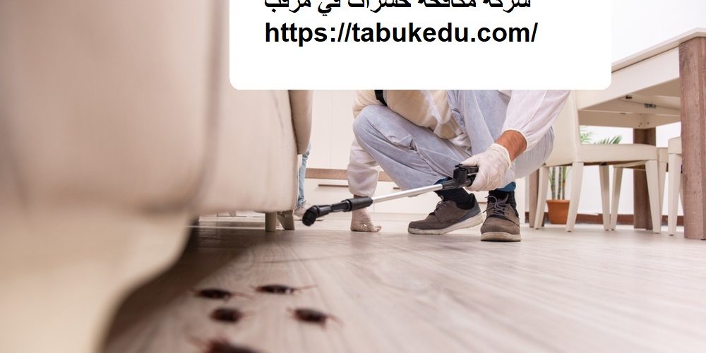 شركة مكافحة حشرات في مرقب