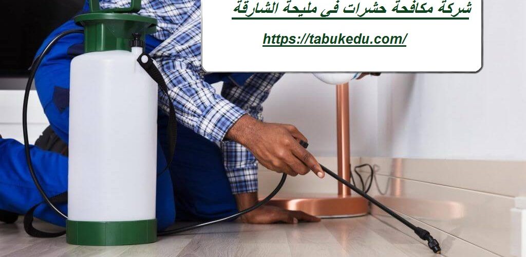 شركة مكافحة حشرات في مليحة الشارقة