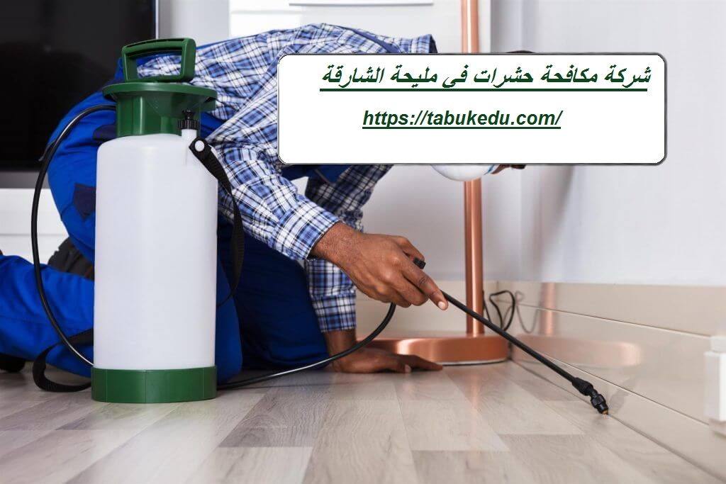 شركة مكافحة حشرات في مليحة الشارقة