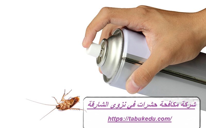 شركة مكافحة حشرات في نزوي الشارقة