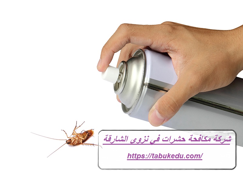 شركة مكافحة حشرات في نزوي الشارقة