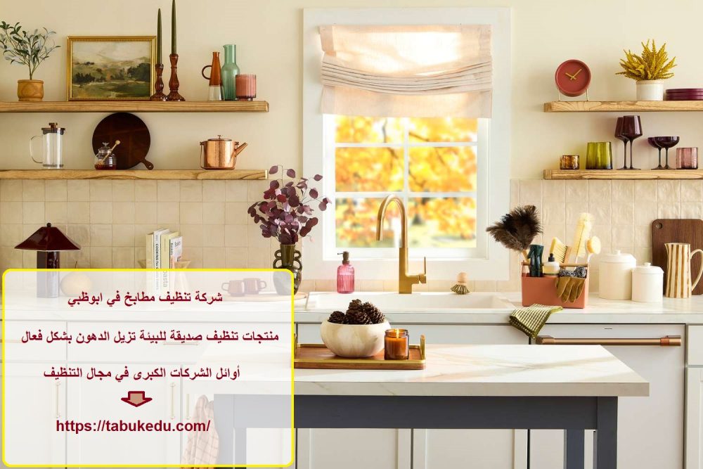 شركة تنظيف مطابخ في ابوظبي