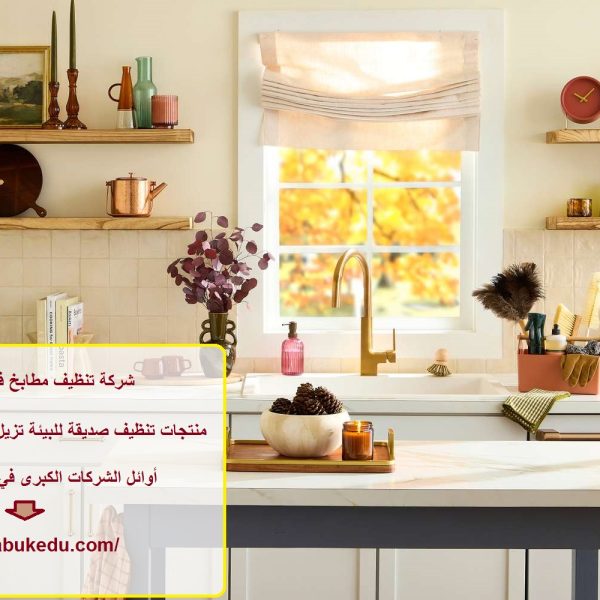 شركة تنظيف مطابخ في ابوظبي