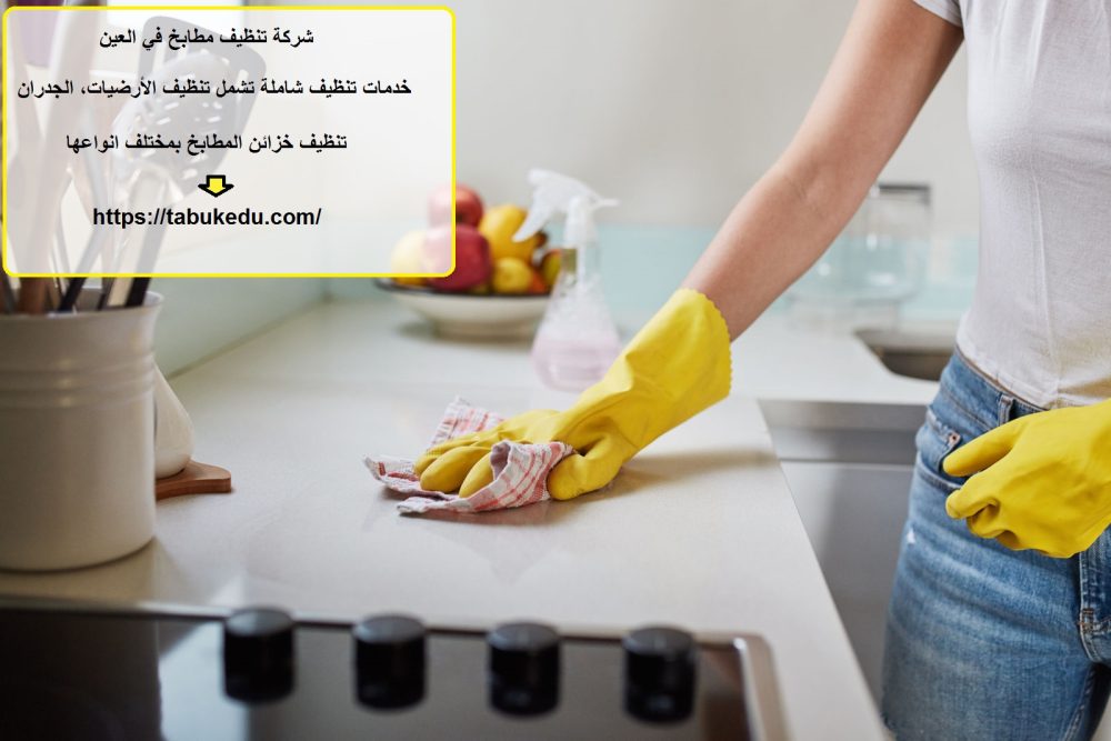 شركة تنظيف مطابخ في العين