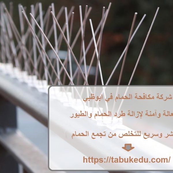 شركة مكافحة الحمام في ابوظبي