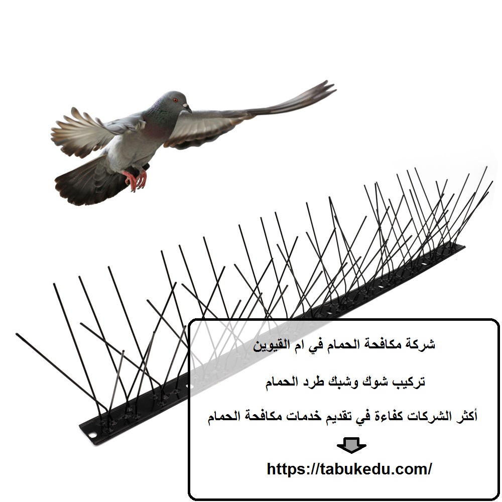 شركة مكافحة الحمام في ام القيوين